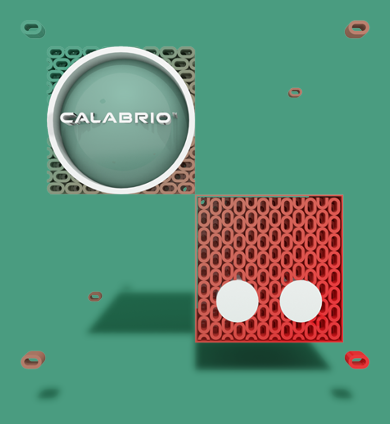 Calabrio Partner Image